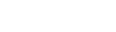 panw_RGB_Logo_White