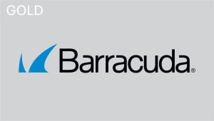 Barracuda