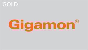 Gigamon