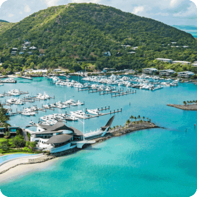 INCENTA - OpenText - Hamilton GIF (2)