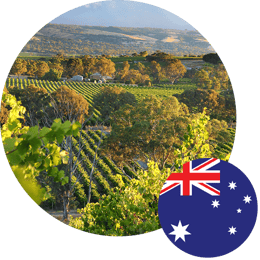 Vinyard-Aus