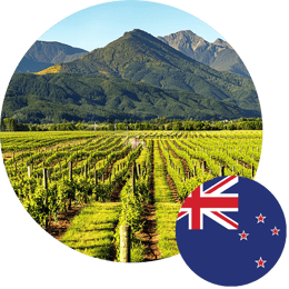 Vinyard-NZ