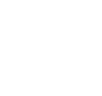 Cost-Effective Solutions
